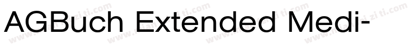 AGBuch Extended Medi字体转换